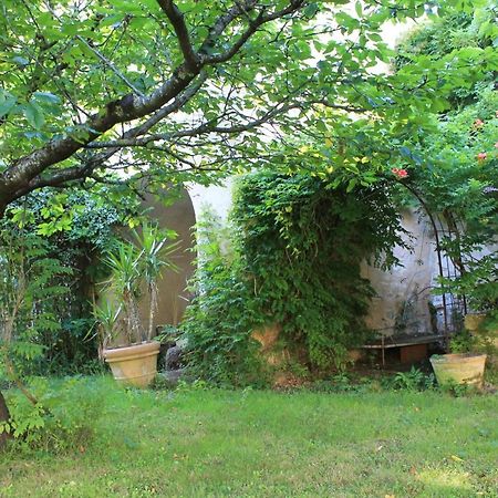 Abbaye De Villelongue Saint-Martin-le-Vieil エクステリア 写真