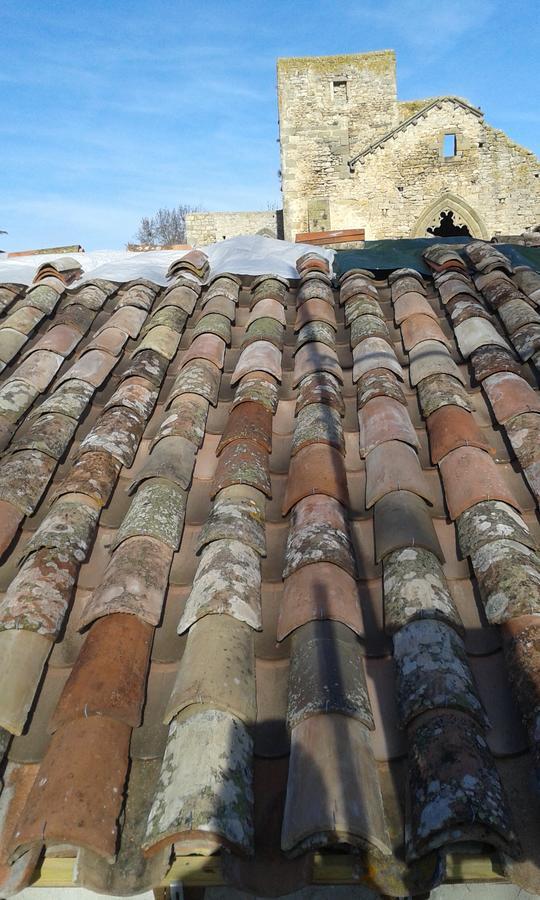 Abbaye De Villelongue Saint-Martin-le-Vieil エクステリア 写真