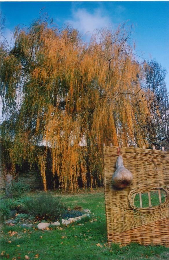 Abbaye De Villelongue Saint-Martin-le-Vieil エクステリア 写真